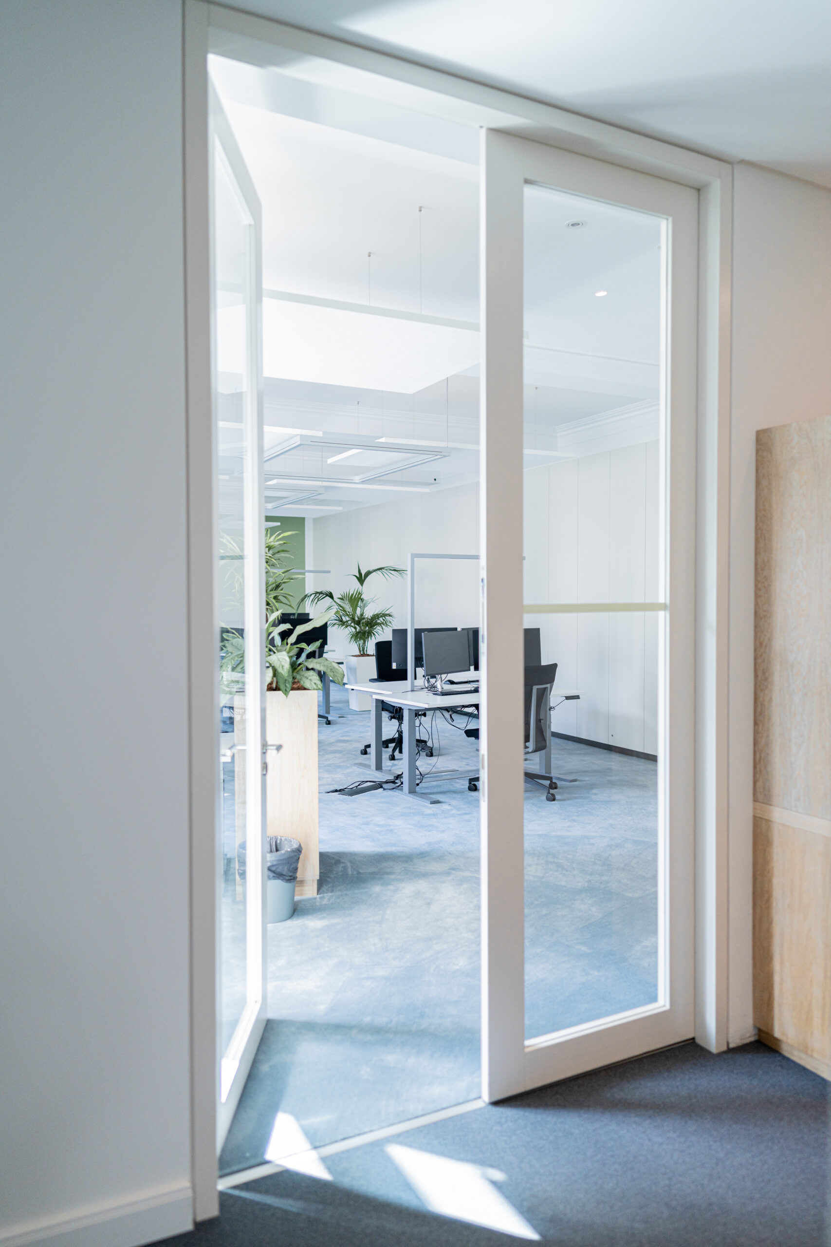 Doctari – New Work Office Hamburg