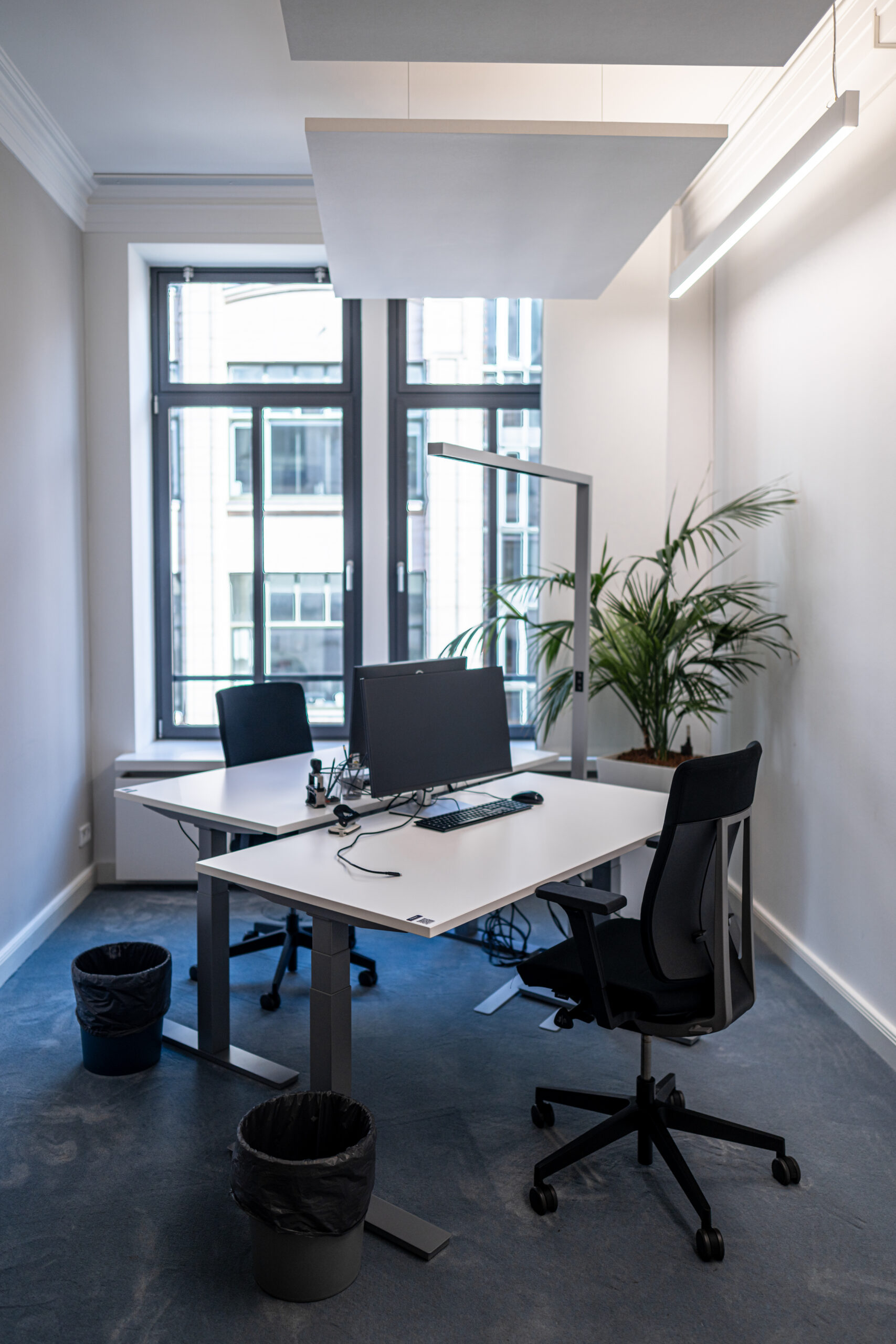 Doctari – New Work Office Hamburg