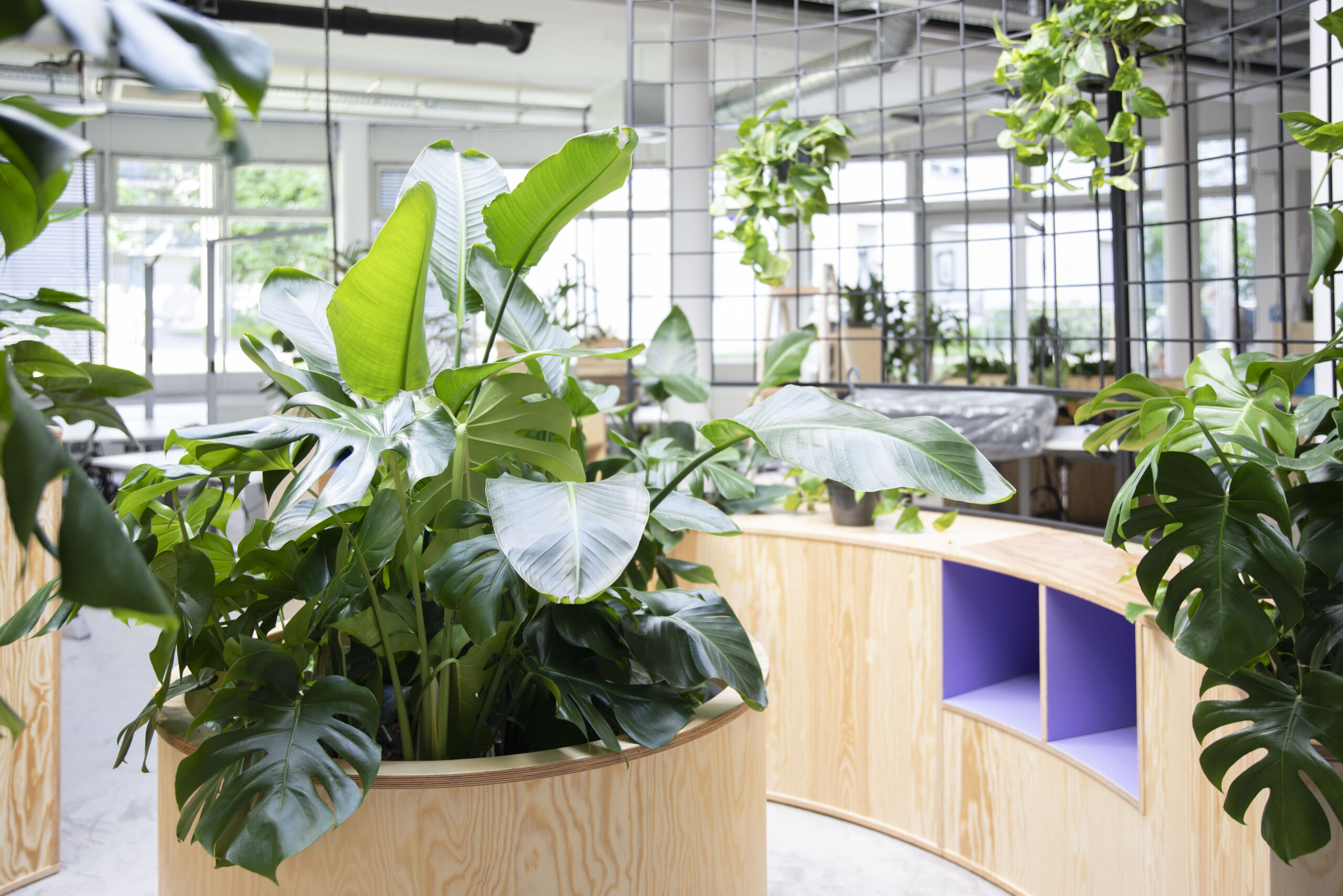 Doctari – New Work Office Berlin