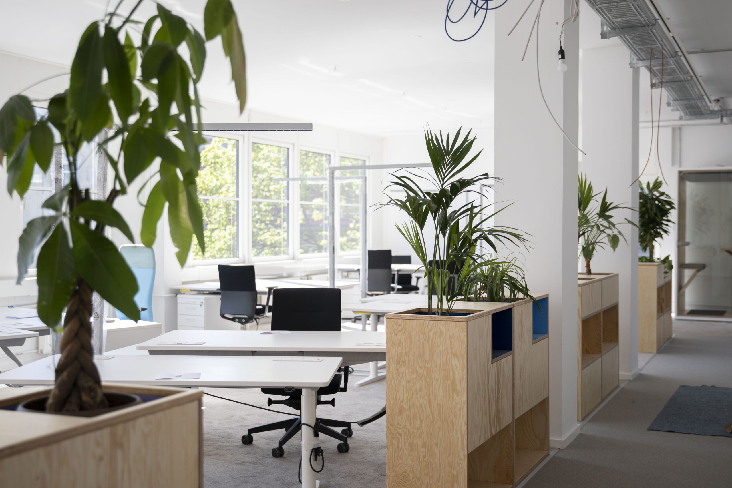 Doctari – New Work Office Berlin